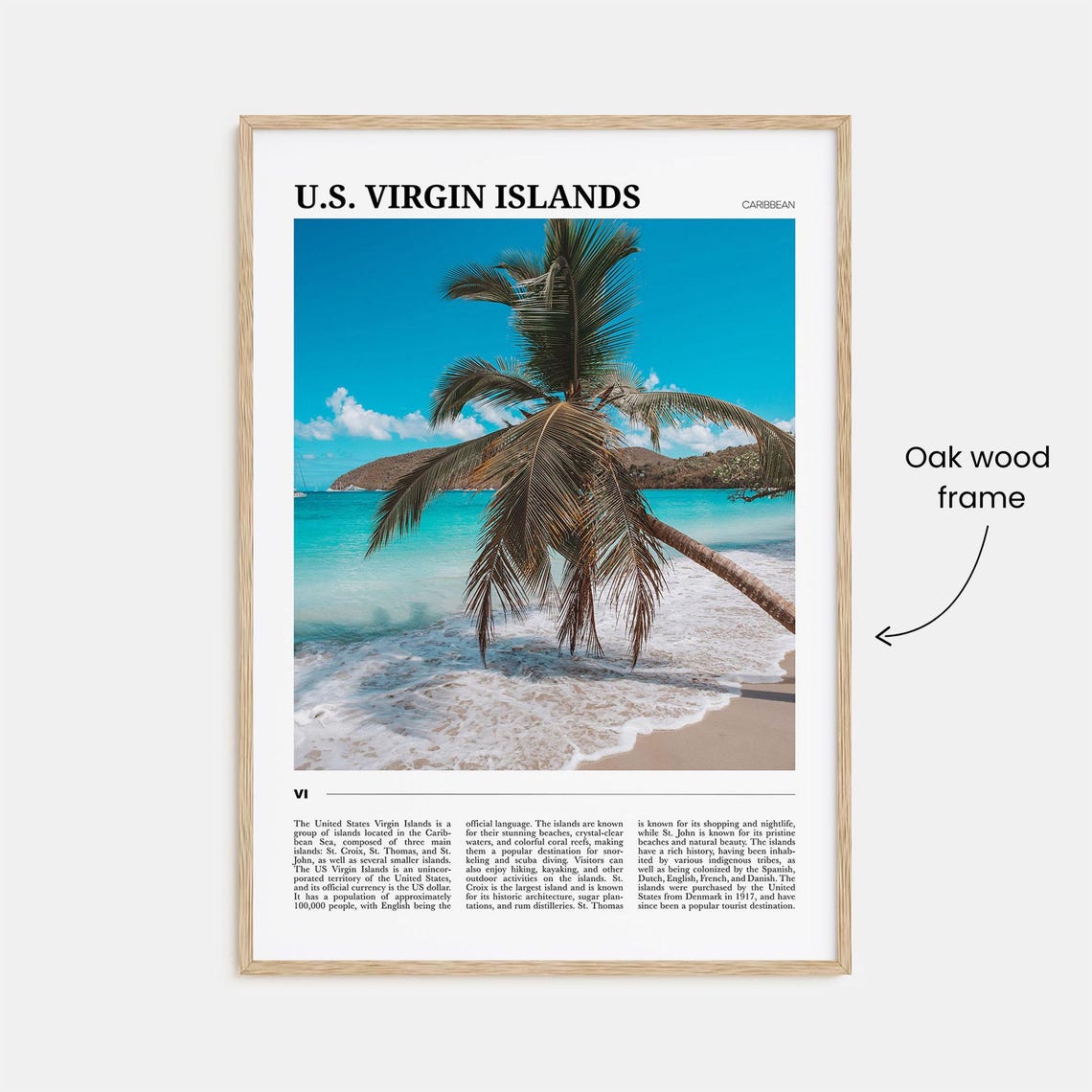 U.S. Virgin Islands Caribbean Palm Beach Photo Editorial Travel Poster - Image 3