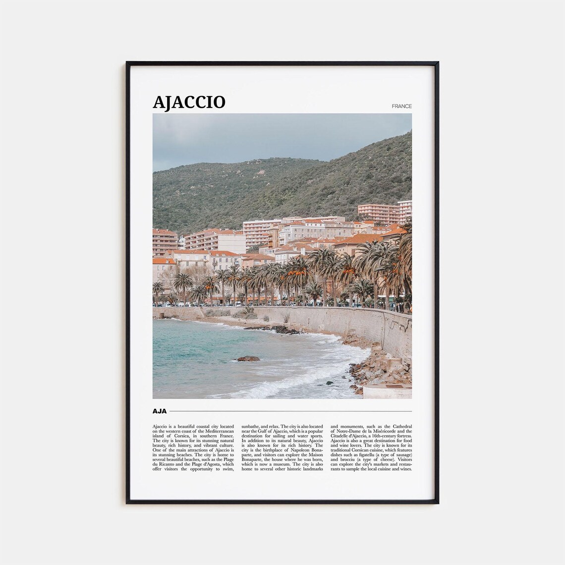 Ajaccio France Corsica Coastal City Palm Promenade View Poster