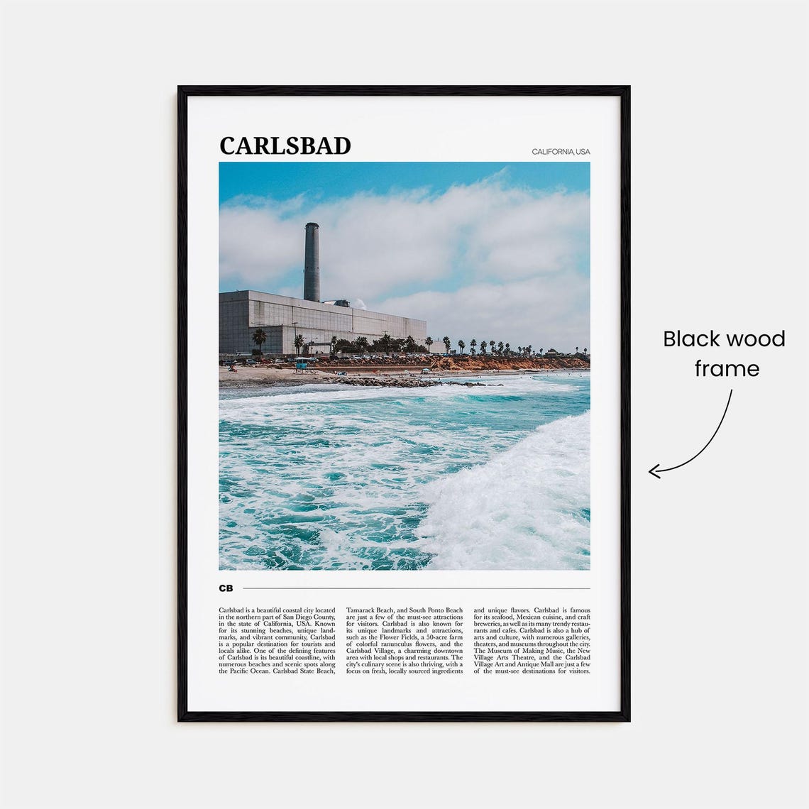 Carlsbad California Pacific Waves Beach Cliffs Palms Photo Poster - Image 2