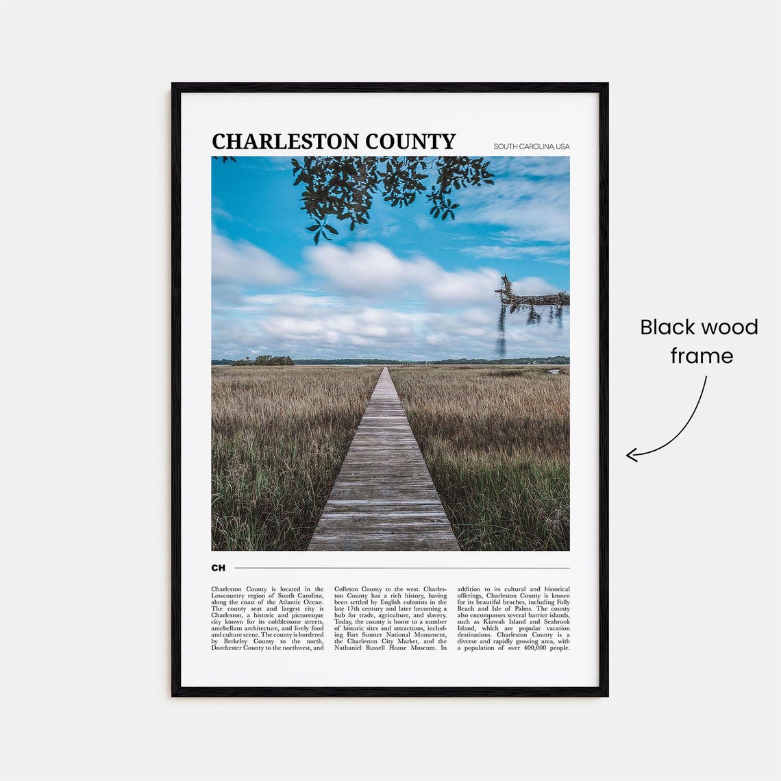 Charleston County South Carolina Marsh Boardwalk Nature Travel Poster - Image 2