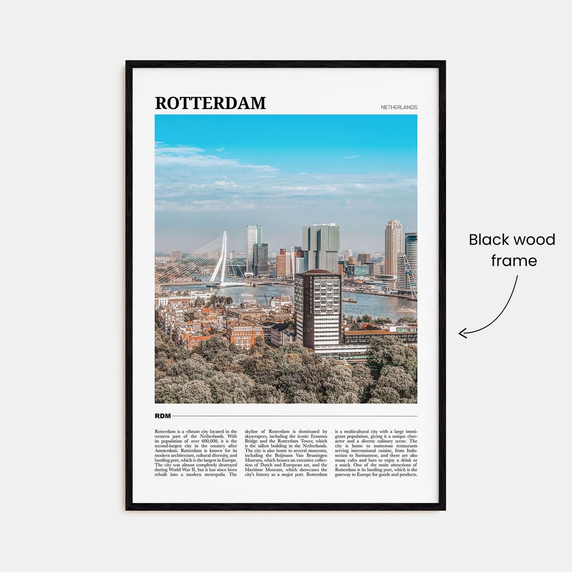 Rotterdam Netherlands Skyline Erasmus Bridge Photo Travel Poster - Image 2