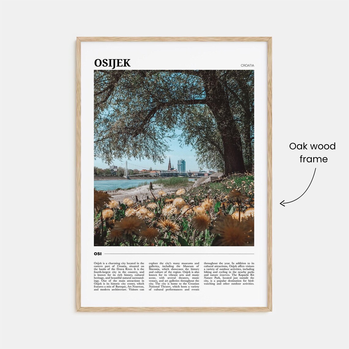 Osijek Croatia Drava River City View Spring Blooms Travel Poster - Image 3