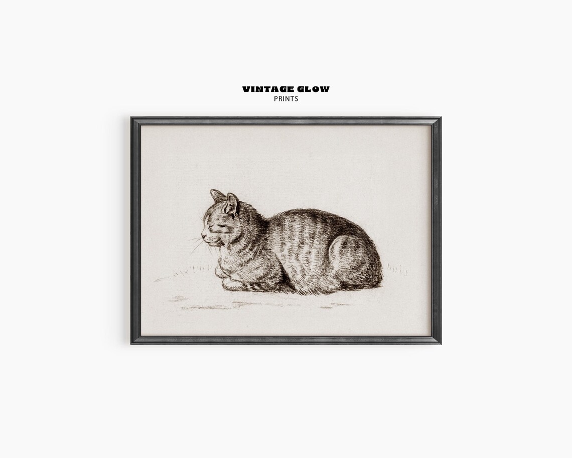 Vintage Cat Art Print, Antique Illustration Decor