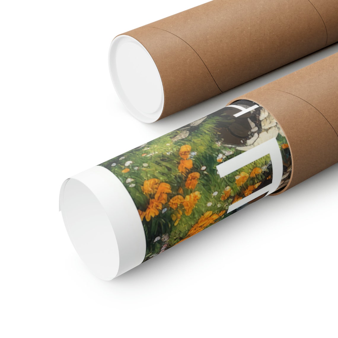 Payette National Forest Wildflower Meadow Stream Snowy Peaks Poster - Image 2