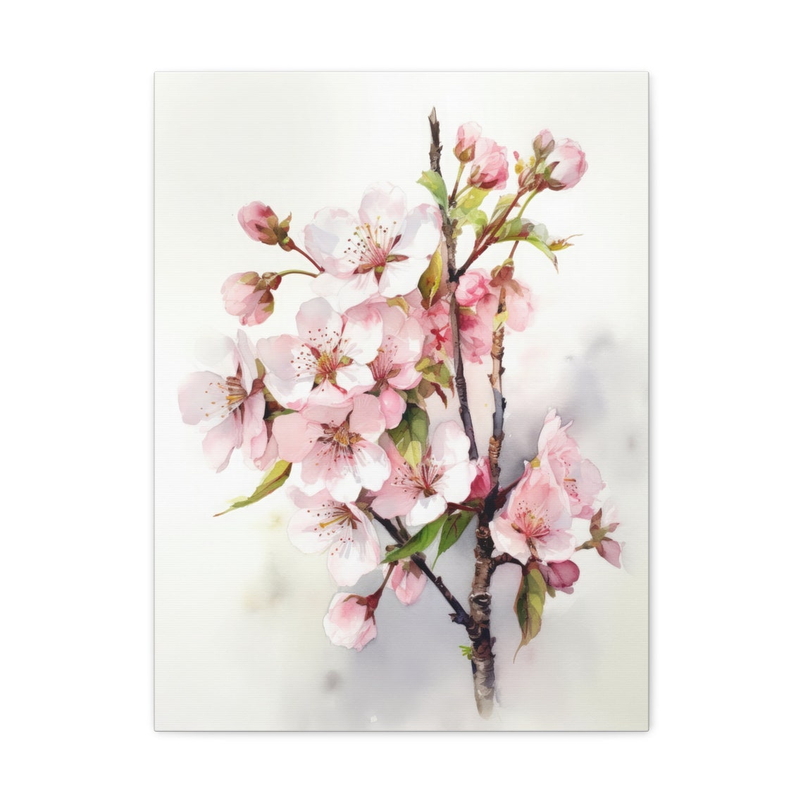 Cherry Blossom Branch Watercolor Botanical Pink Floral Poster