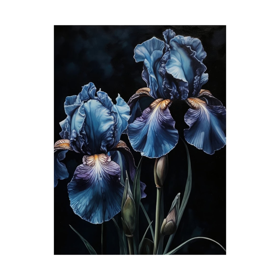 Navy Blue Iris Blooms Copper Beards Dark Botanical Art Print - Image 4