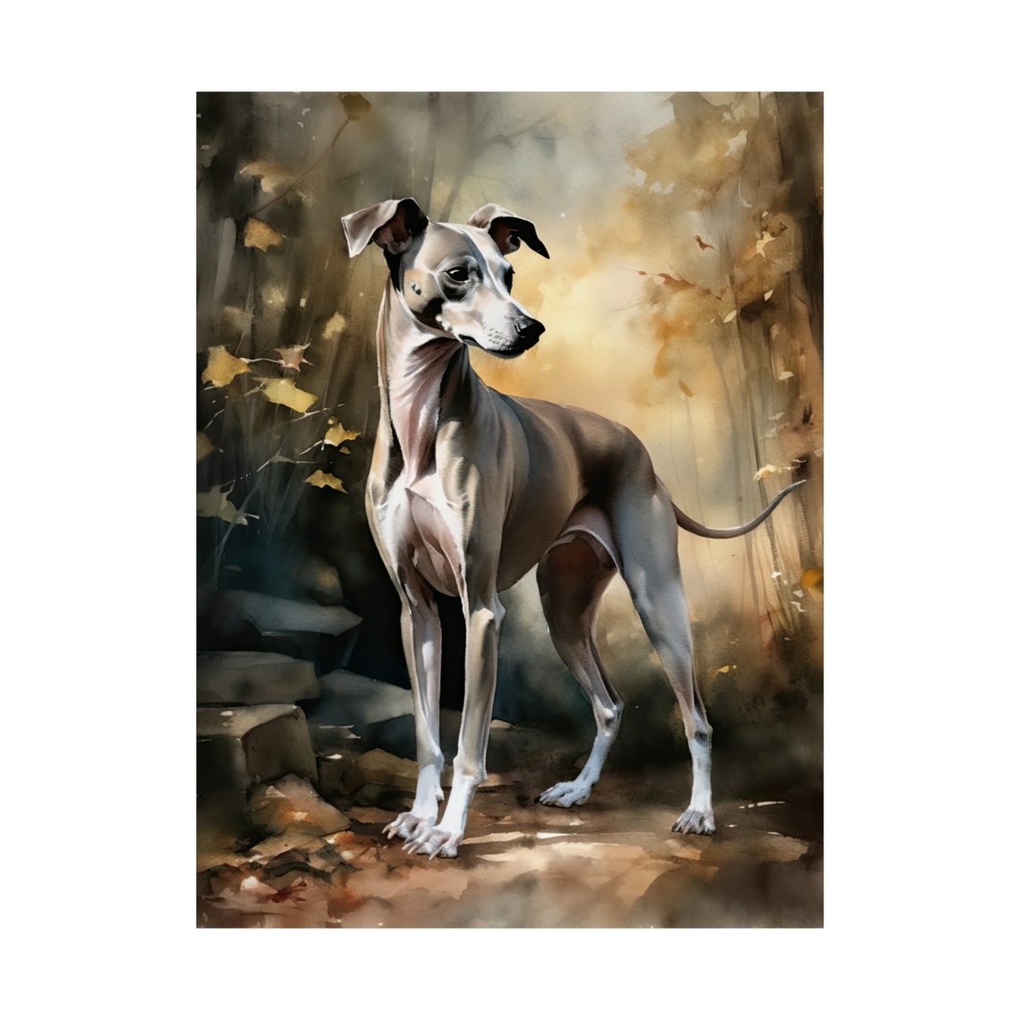 Italian Greyhound Standing In Golden Autumn Light Watercolor Poster - Image 4