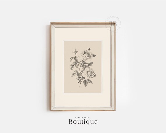 Black And White Rose Illustration Vintage Style Botanical Wall Art Minimalist Floral Decor For Bedroom No619