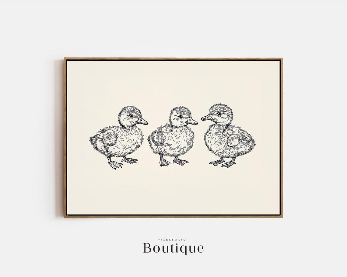 Three Baby Ducklings Side by Side Cute Ink Sketch Nursery Print