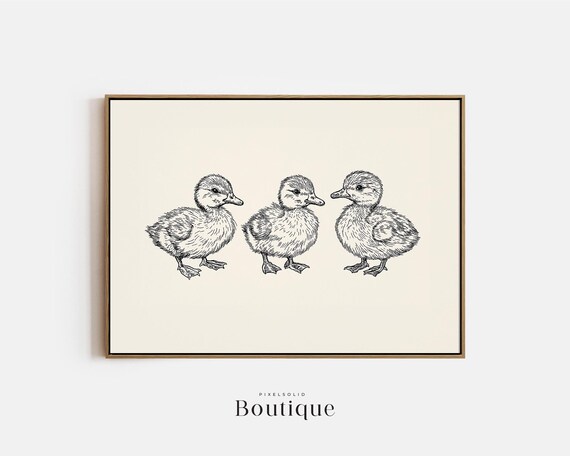 Three Baby Ducklings Side by Side Cute Ink Sketch Nursery Print