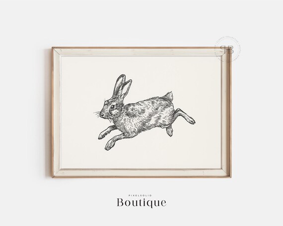 Rabbit Art Print Animal Illustration Vintagestyle Black White Nursery Wall Decor Wildlife Drawing Nature Poster No432