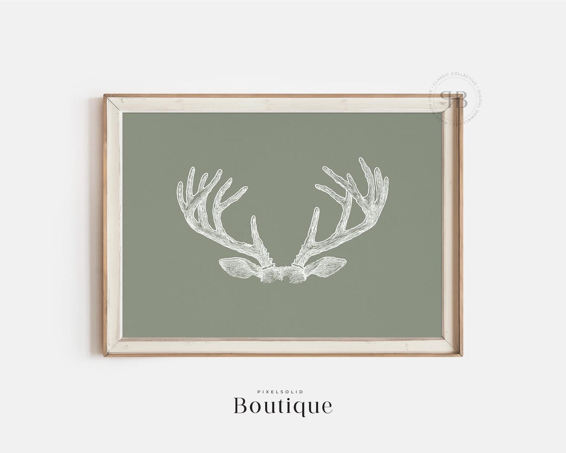 White Deer Antlers Sketch On Sage Green Rustic Farmhouse Art Poster