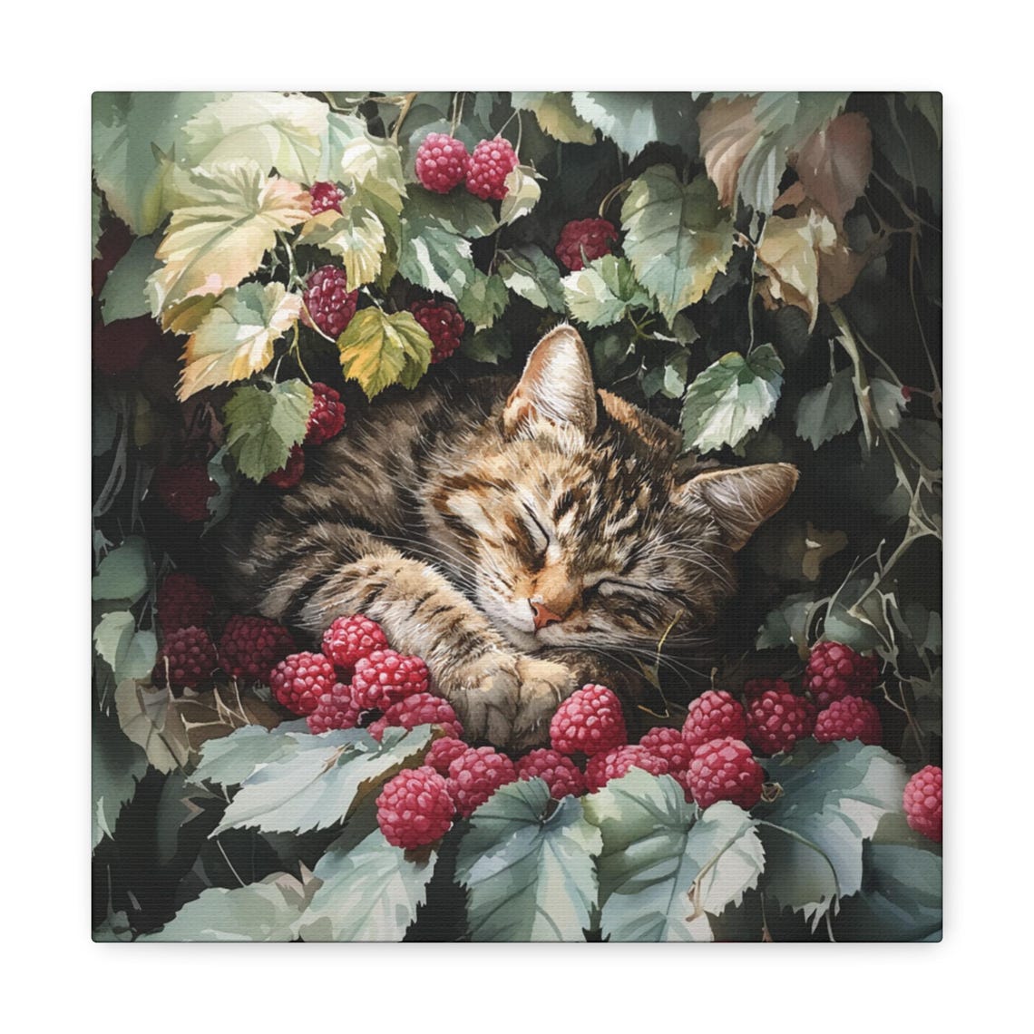 Sleepy Tabby Kitten Napping Among Ripe Raspberry Vines in Bloom Poster - Image 2