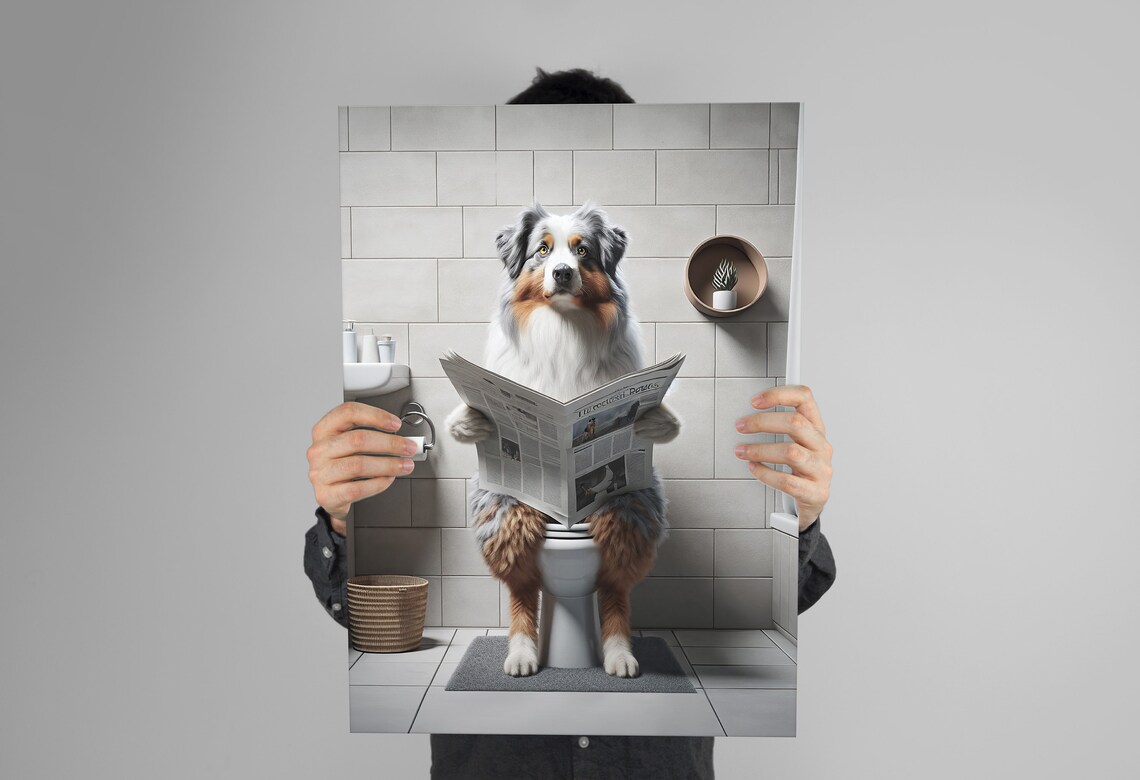Australian Shepherd Reading Newspaper, Bathroom Gag Poster - Image 3