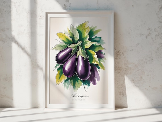 Aubergine Eggplant Botanical Watercolor Print Purple Vegetable Art