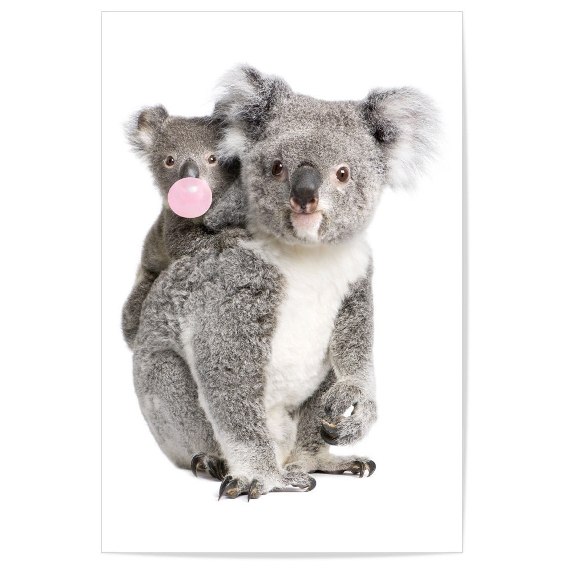 Koala Mother And Joey Blowing Pink Bubblegum Bubble Cute Poster - Image 2