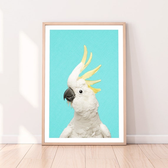 Cockatoo Bird Art, Mid Century Minimalism Poster