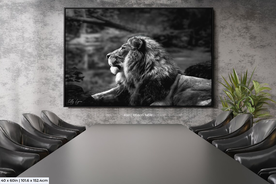 Lion Print, Wildlife Photography Home Decor - Image 2