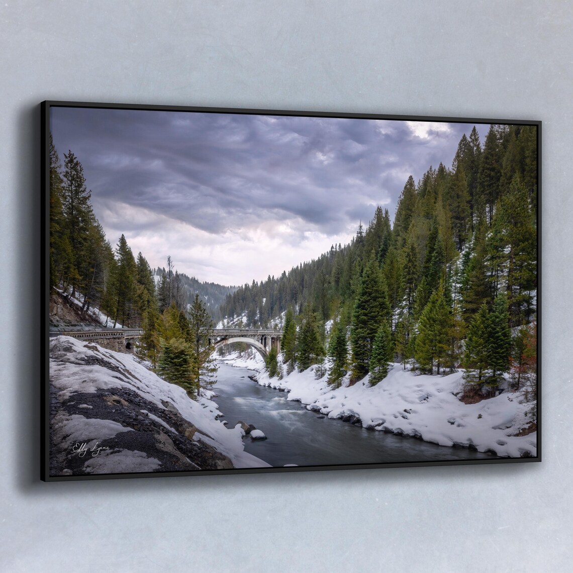 Historic Rainbow Bridge, Payette River Landscape