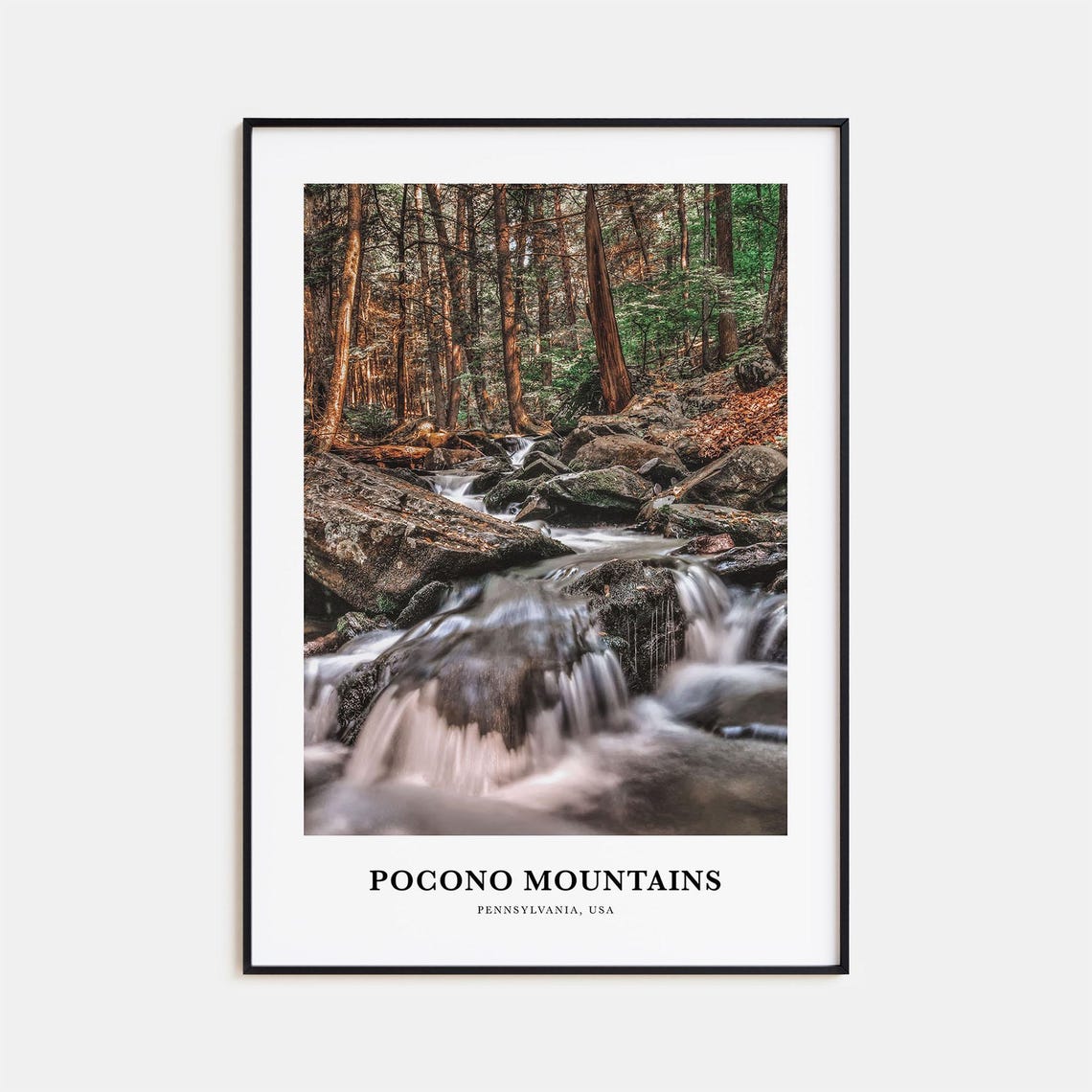 Pocono Mountains Pennsylvania USA Forest Stream Photo Poster