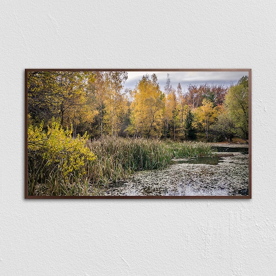 Autumn Pond Golden Trees Reeds Peaceful Wetland Fall Nature Poster
