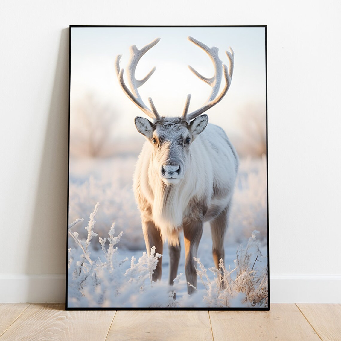 Majestic White Reindeer Standing In A Snowy Meadow Wildlife Poster