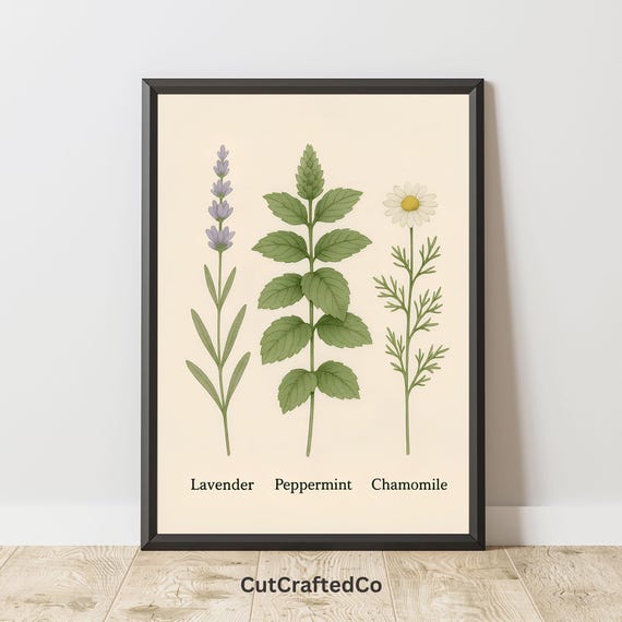 Herbal Botanical Wall Art Vintage Lavender Peppermint Chamomile Print Herb Illustration Plant Guide Png