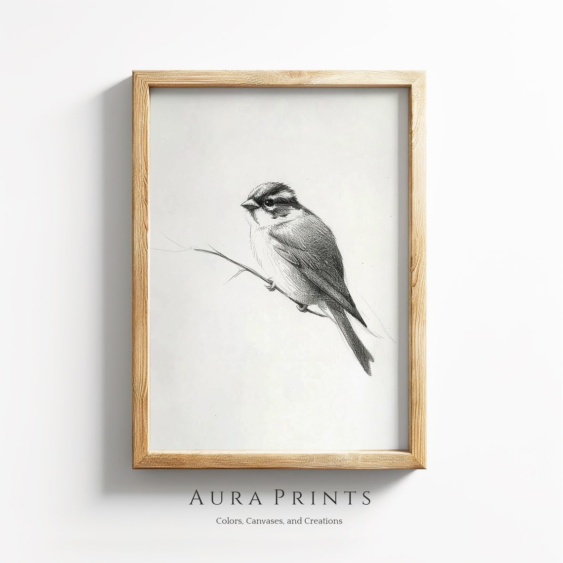 Sparrow Pencil Sketch Perched on Branch Minimalist Bird Poster