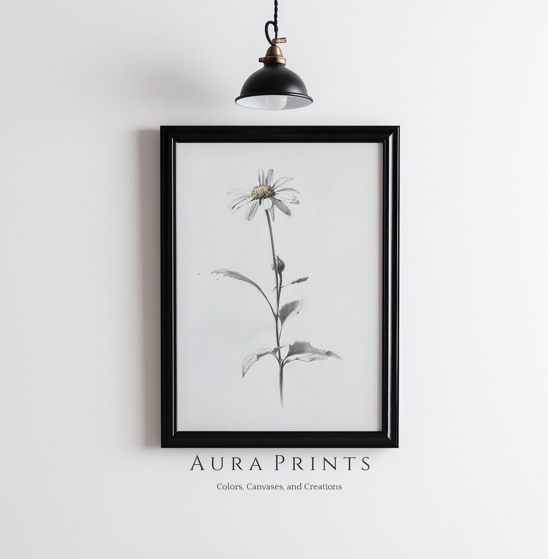 Daisy Flower Sketch Vintage Botanical Pencil Drawing Nature Poster