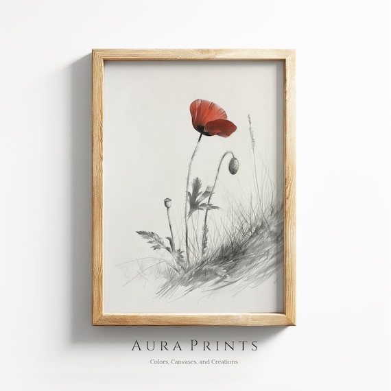 Red Poppy Flower Botanical Pencil Sketch Minimalist Nature Print