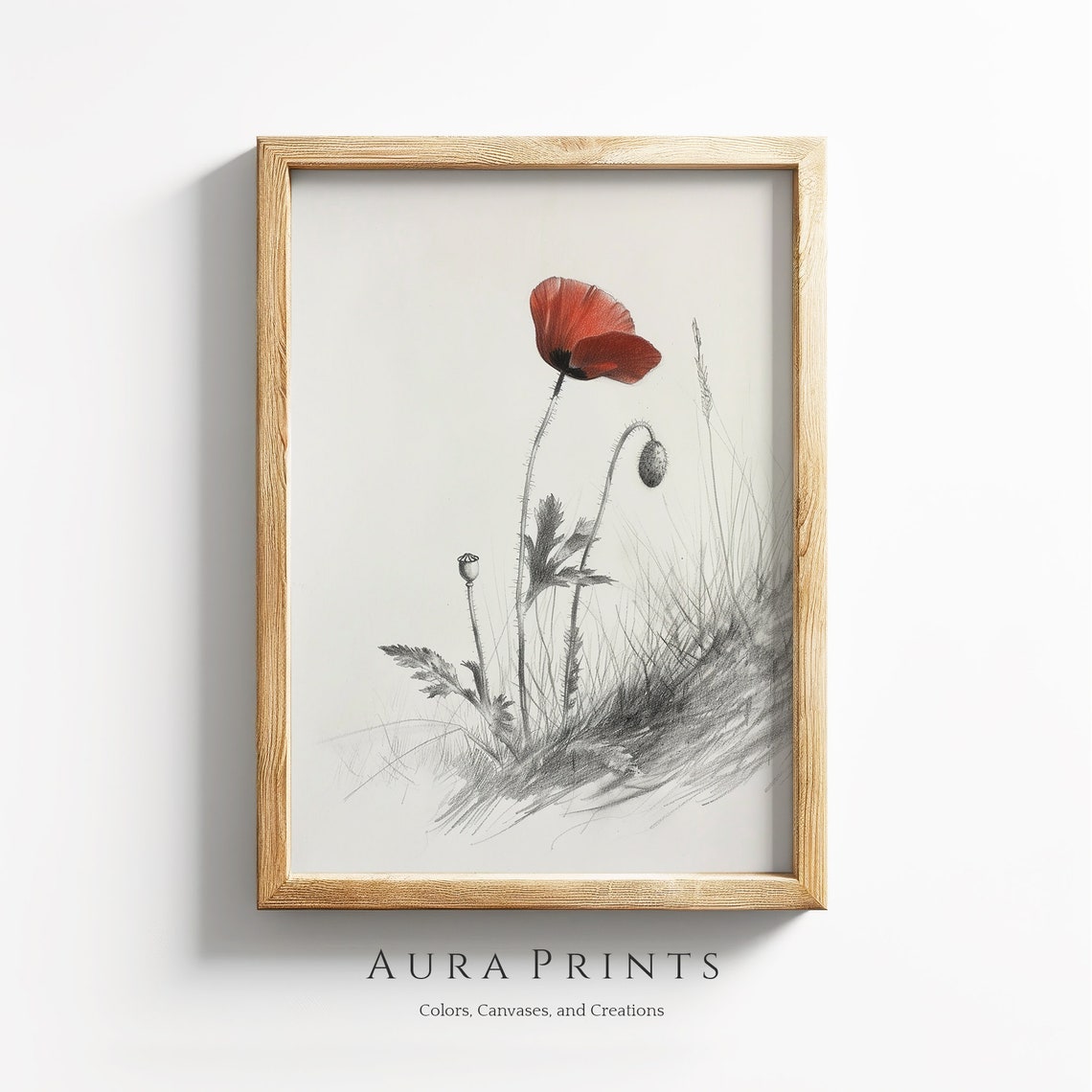 Red Poppy Flower Botanical Pencil Sketch Minimalist Nature Print