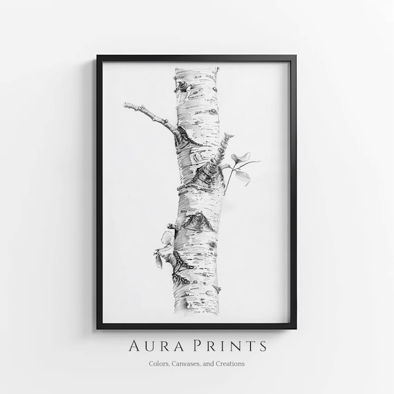Vintage Birch Tree Pencil Sketch Art Print, Farmhouse