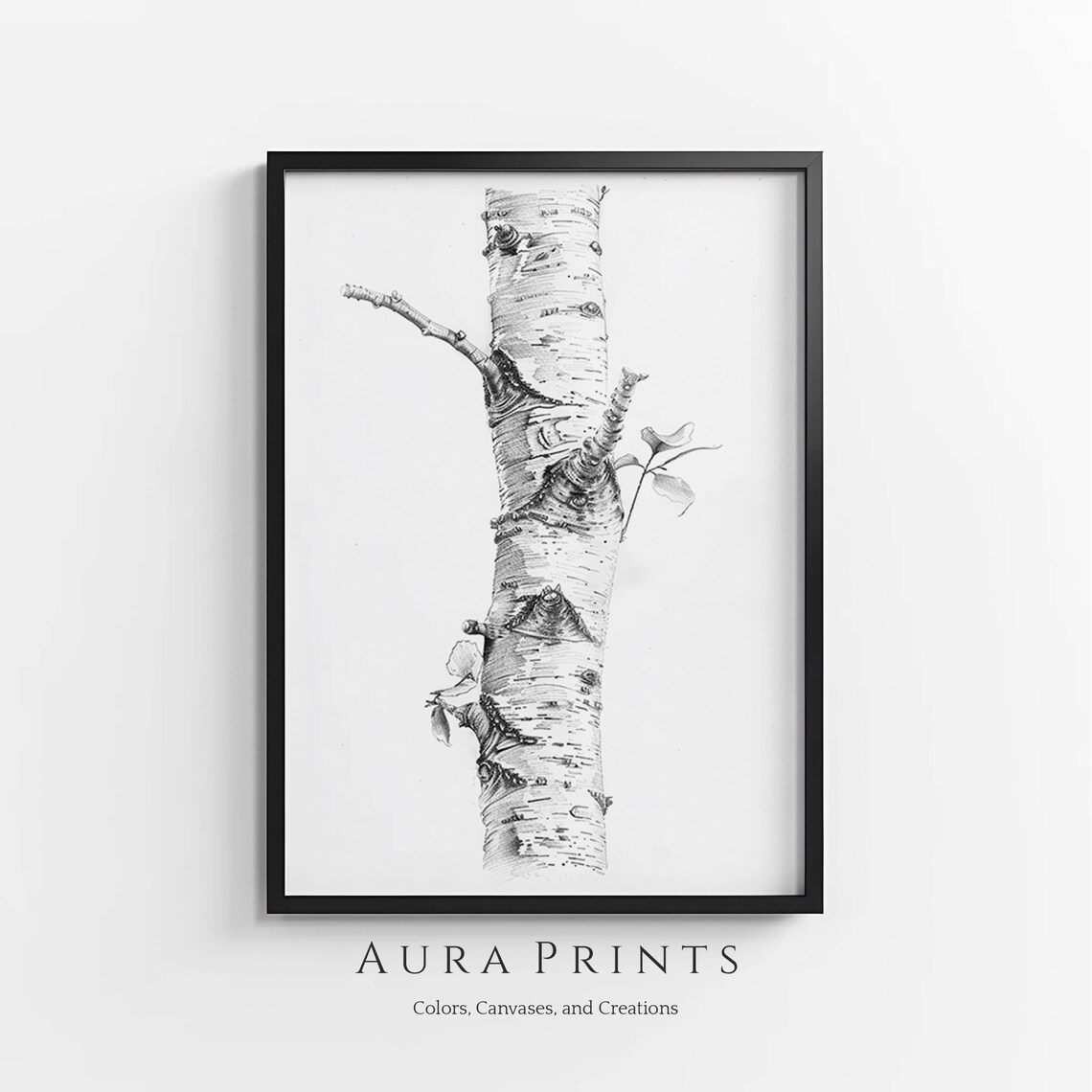 Vintage Birch Tree Pencil Sketch Art Print, Farmhouse