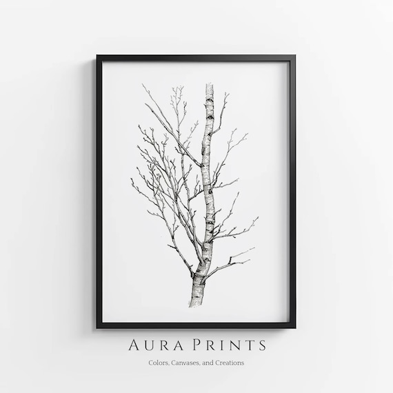 Birch Tree Pencil Sketch, Neutral Farmhouse Nursery Art