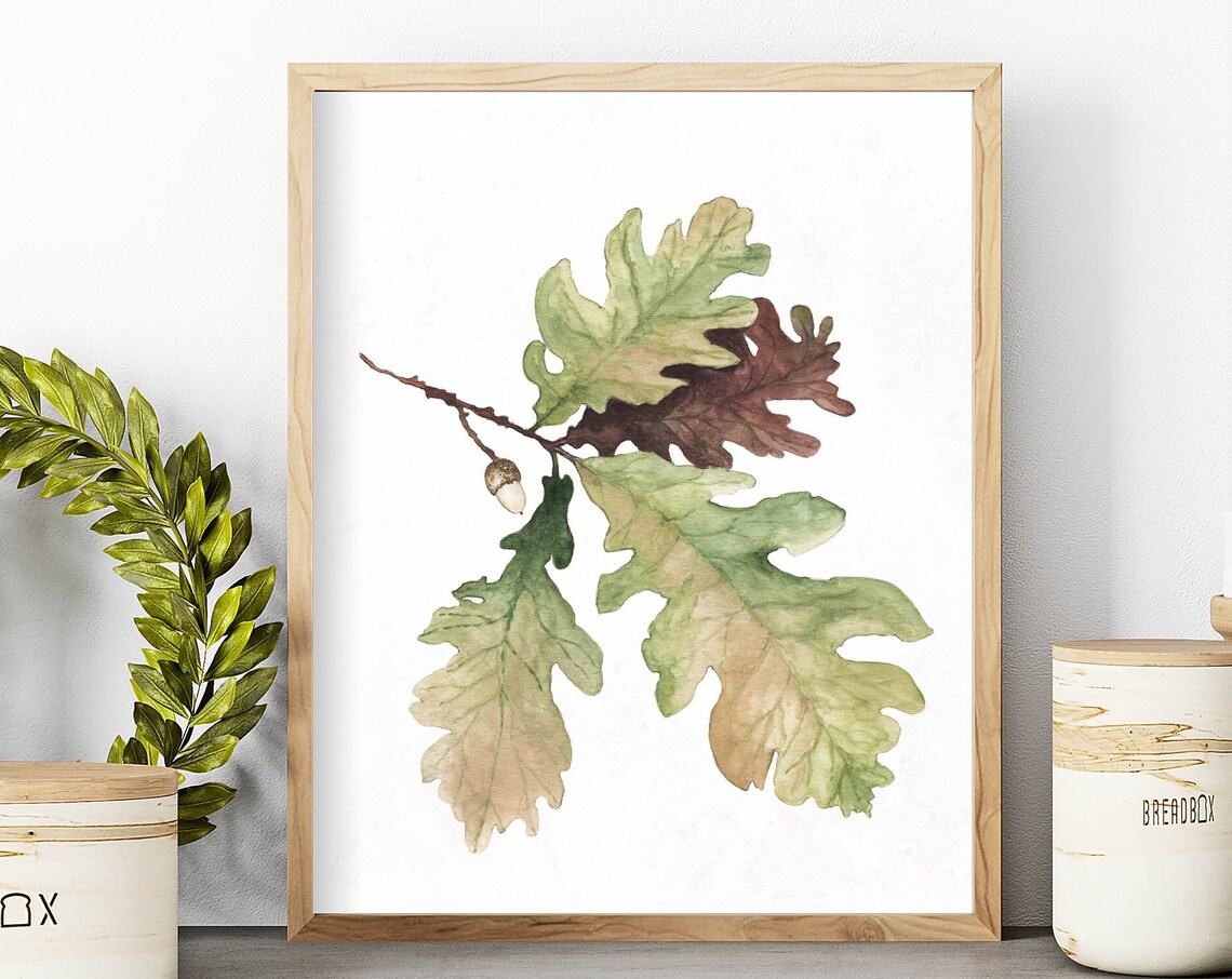 Watercolor Oak Leaves Acorn Branch Autumn Botanical Fall Foliage Poster - Image 3