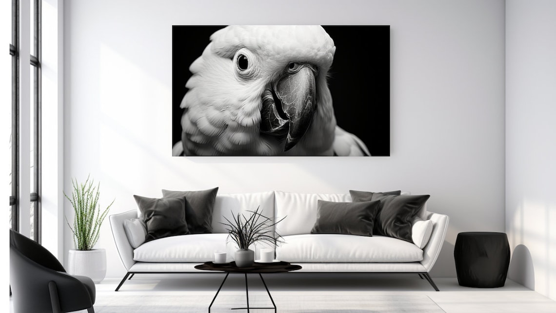 White Cockatoo Black White Portrait Closeup Parrot Wild Bird Poster