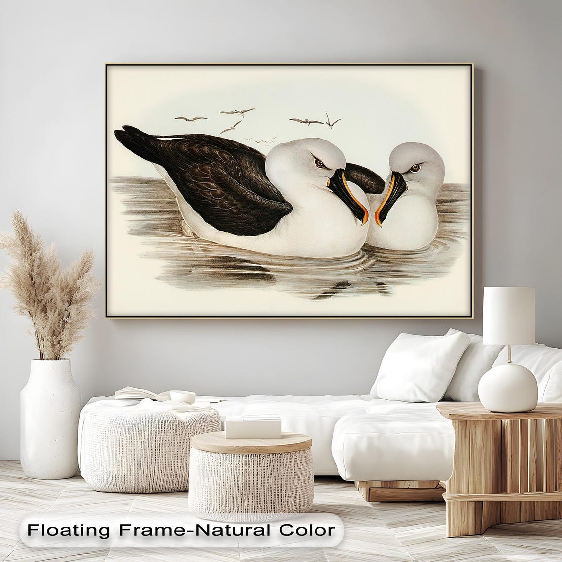 Vintage Albatross Pair Seabirds Water Illustration Classic Bird Poster