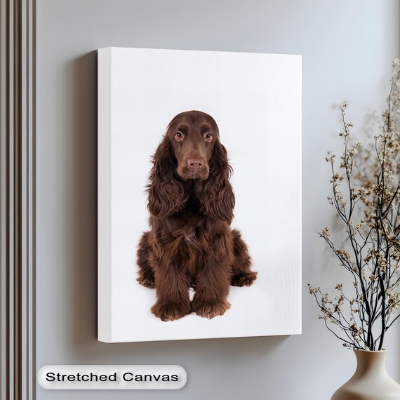 Brown Cocker Spaniel Portrait Studio White Background Dog Poster