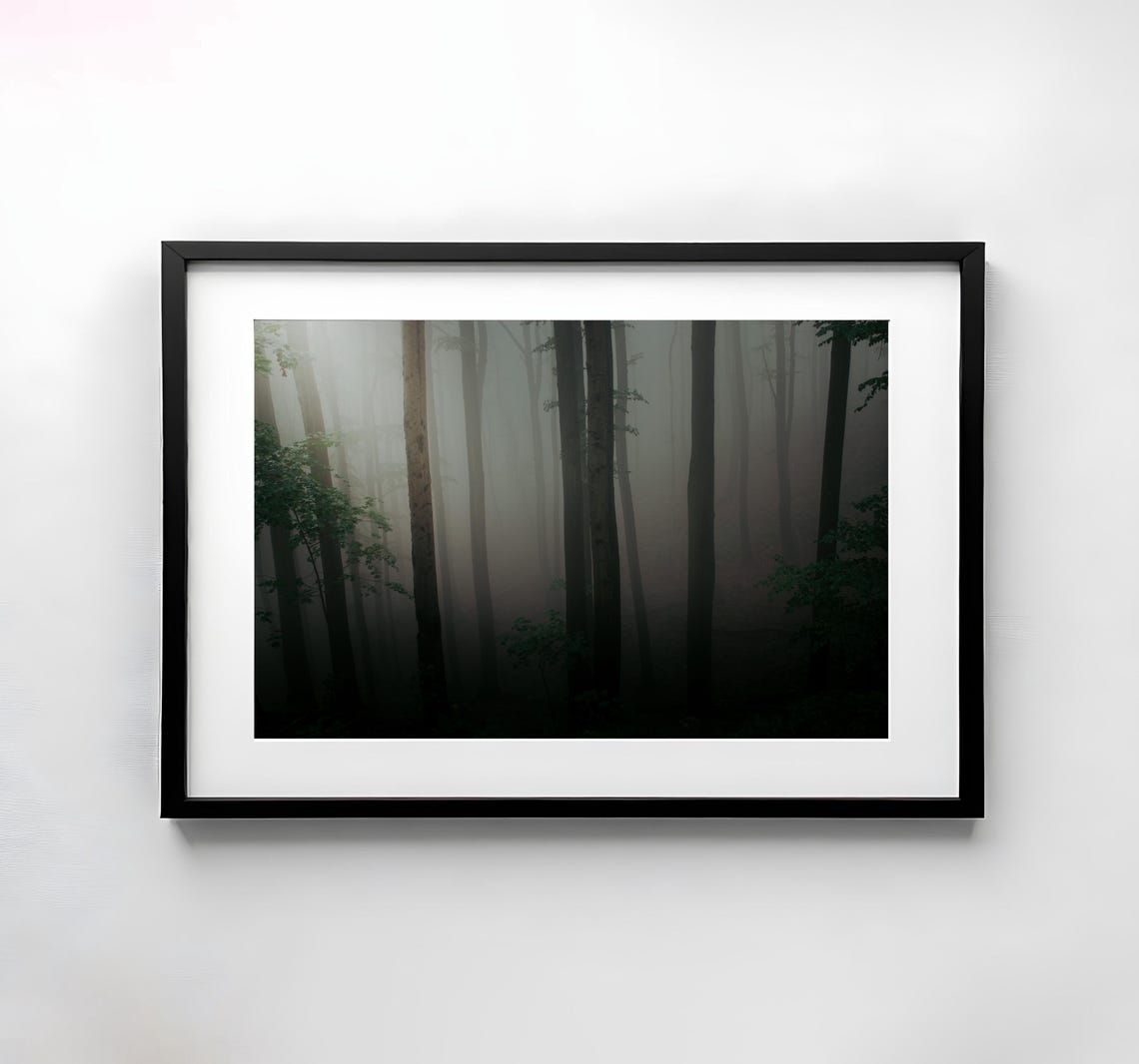 Dense Fog Rolling Through Dark Forest Trunks Panoramic Nature Poster