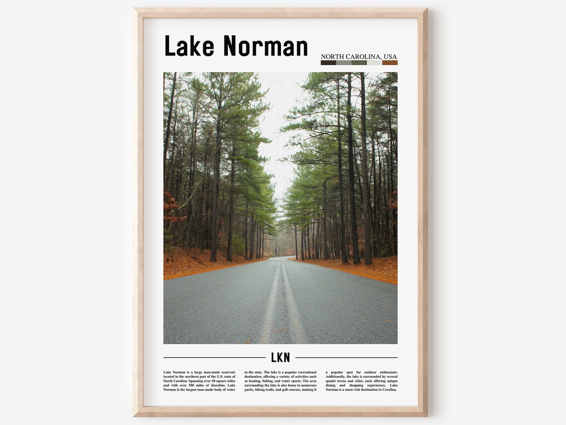 Lake Norman North Carolina Travel Poster Pine Forest Road Photo View