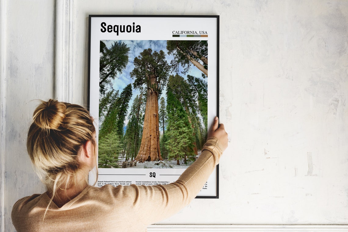 Sequoia California Editorial Giant Tree Winter Photo Poster Art - Image 2
