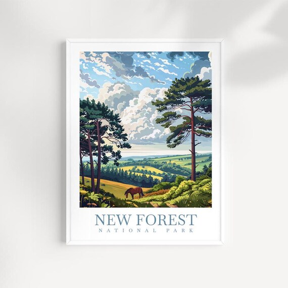 New Forest National Park Pine Forest Rolling Hills Valley Poster