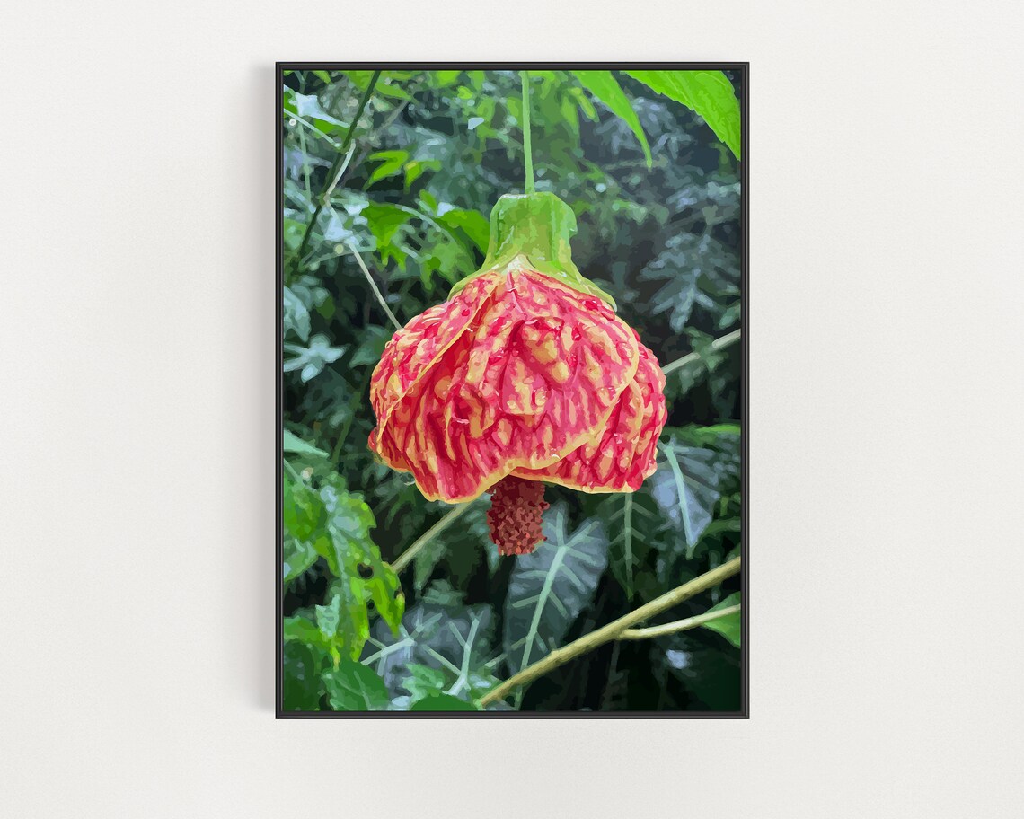 Wildflowers Of Hawaii Botanical Art Print