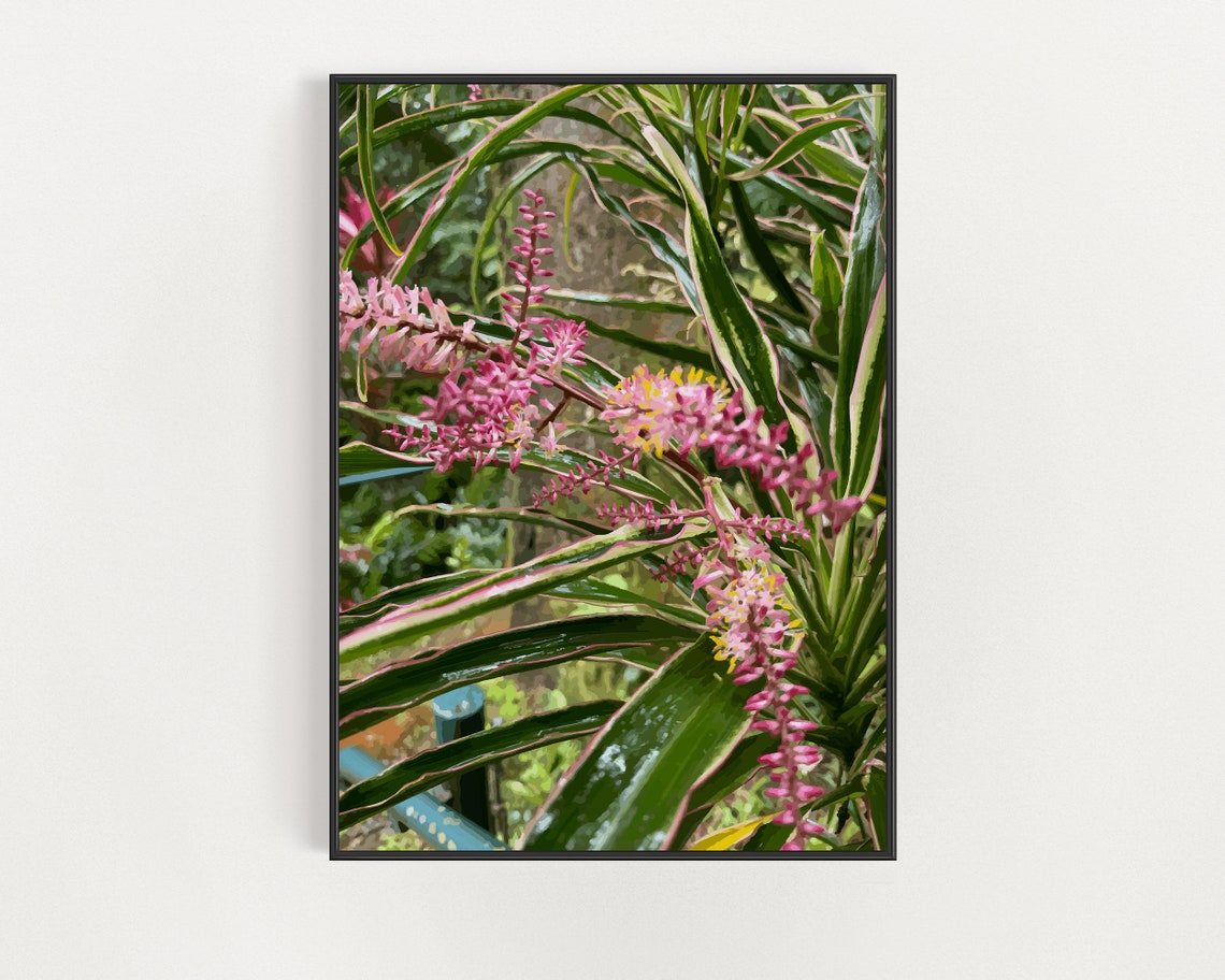 Hawaii Botanical Photography Tropical Dragon Plant Kauai Kauai Botanical Garden Wall Art Garden Lovers Gift Kauai Plants Print