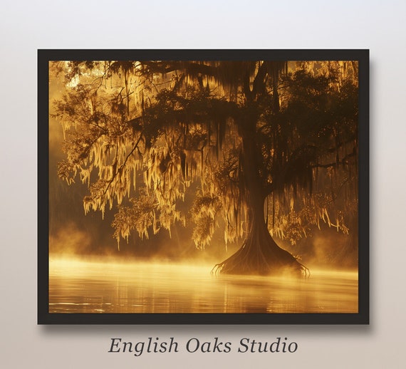 Moody Sunset Cypress Tree In The Swamp Painting Summer Cypress Tree Spanish Moss Print