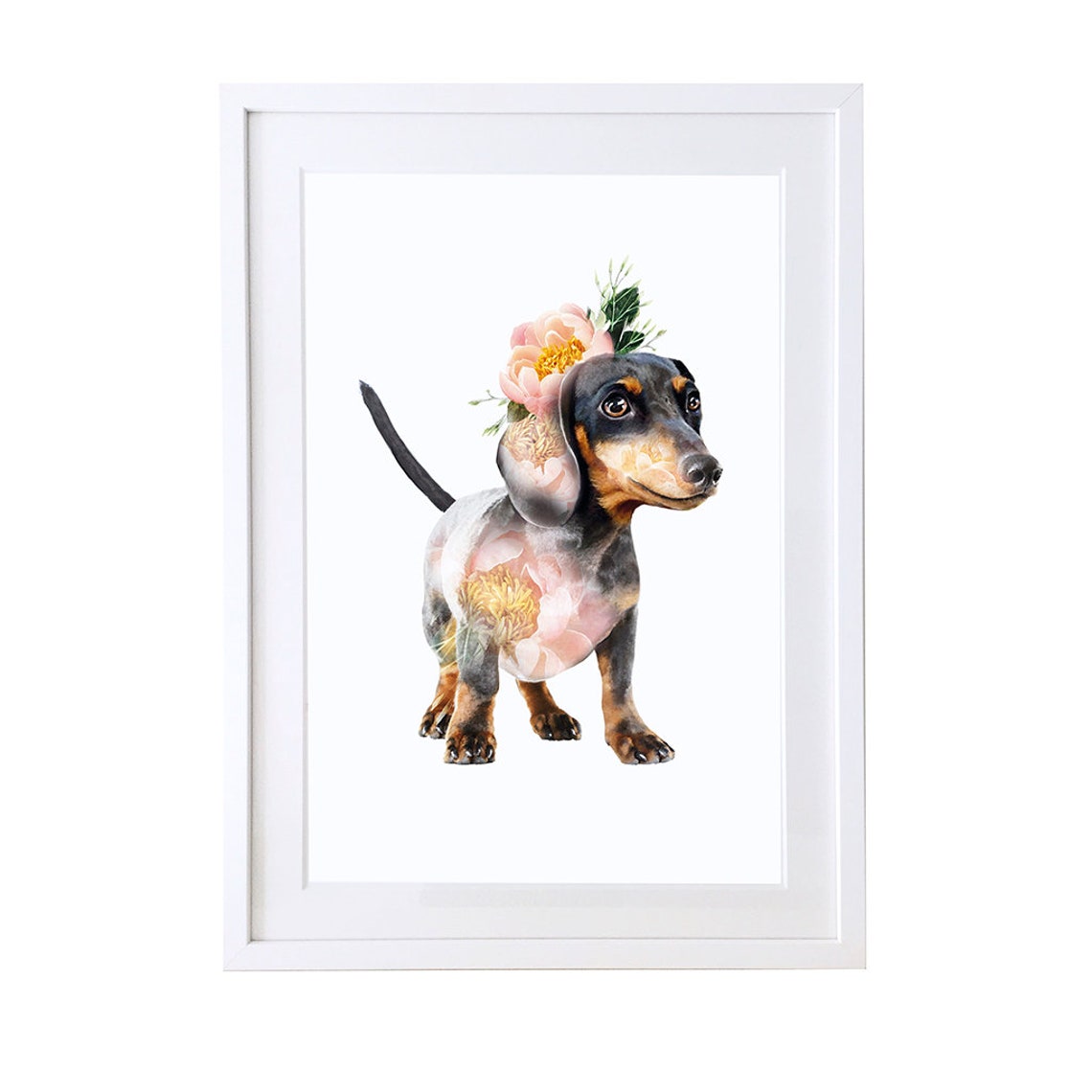Dachshund - Dog Art Print