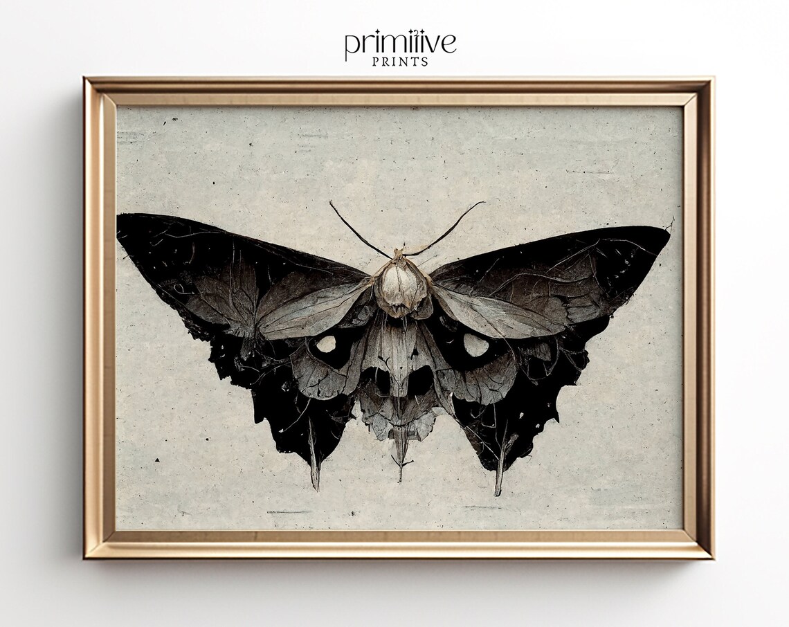 Moth Print, Dark Academia Classical Insect Art