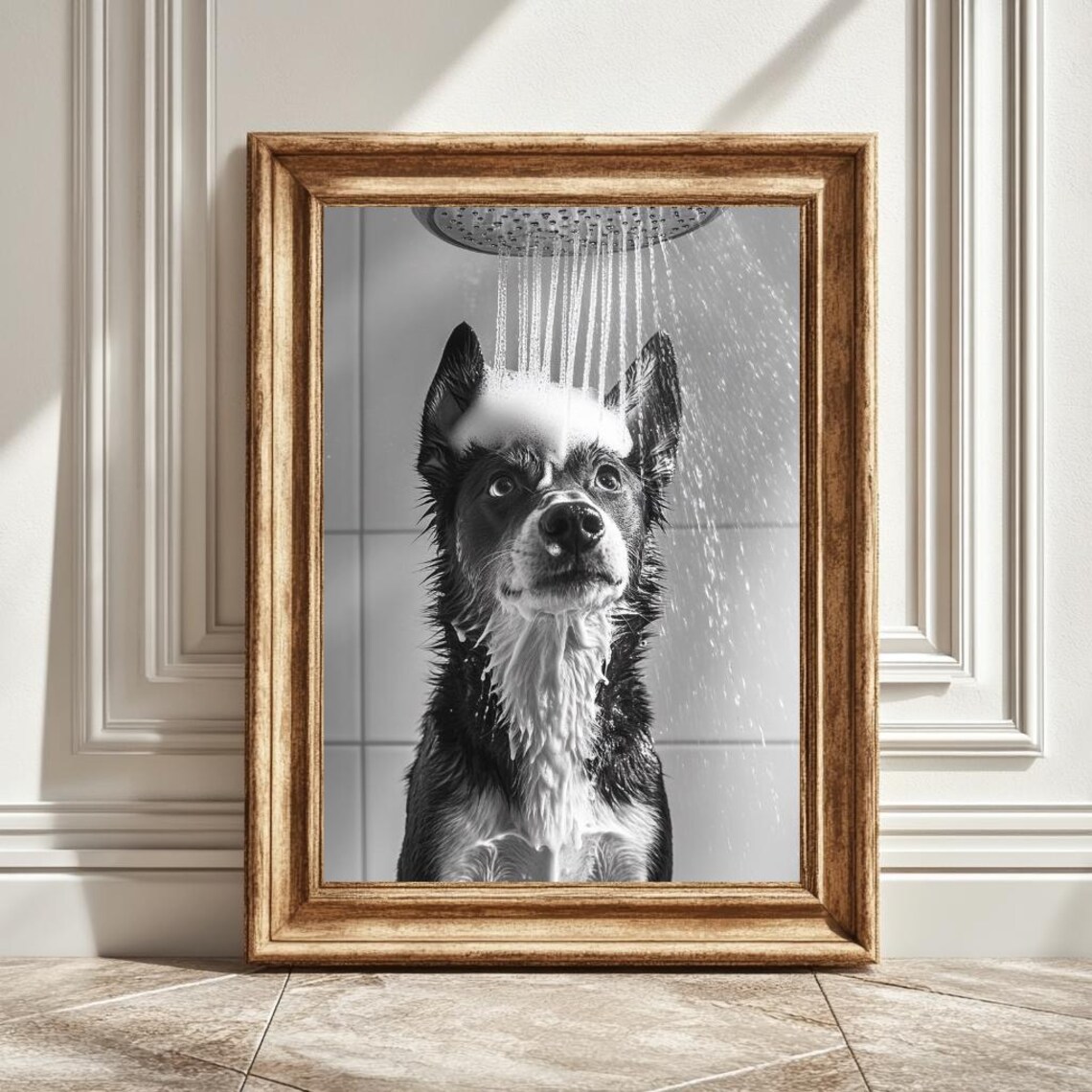 Black And White Husky Under The Shower Art Print