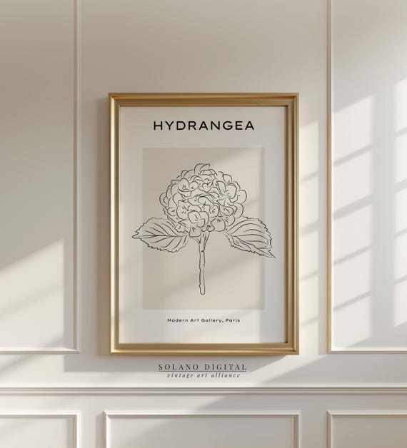 Hydrangea Line Art Minimalist Floral Wall Botanical Flower Drawing Boho Plant Print For Home Decor