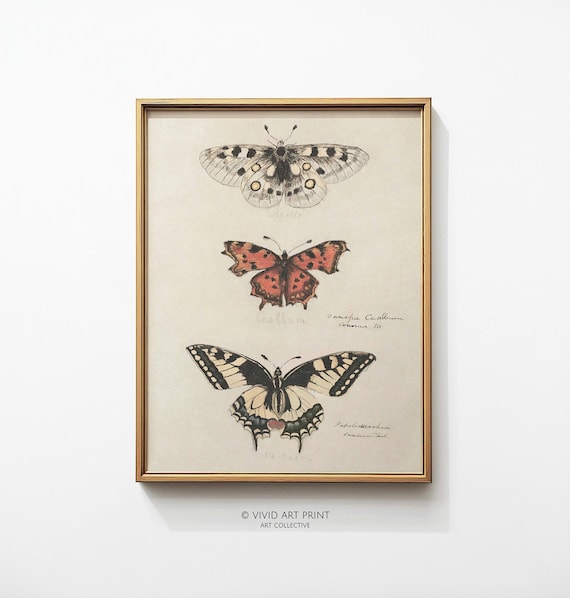 Retro Butterfly Illustration, Vintage Art Print